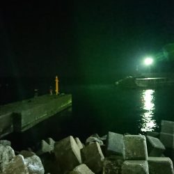 久々の複数釣果